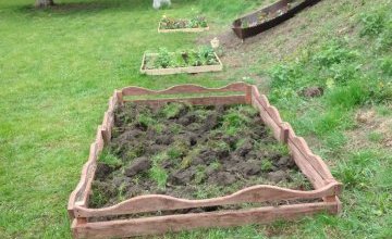 Podziękowania dla Rodziców