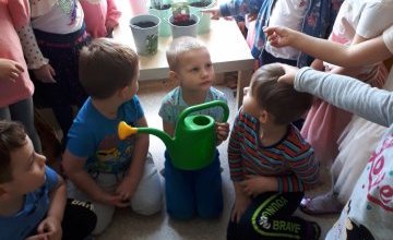 Grupa 4 latki wysiewała kwiaty i zioła