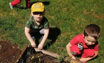 Sadzimy w naszym ogródku