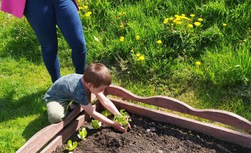 Zaczynamy sadzić w ogródku