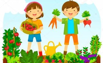 Przynosimy sadzonki warzyw i kwiatów