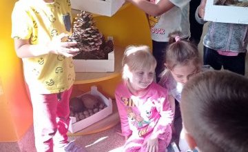 Segregowanie zabawek w grupie 4 - 5 latków