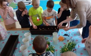 Sadzenie wiosennych kwiatów