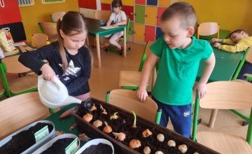 Zielone kąciki przyrody 