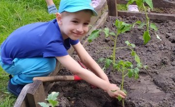 Sadzimy w naszym przedszkolnym ogródku
