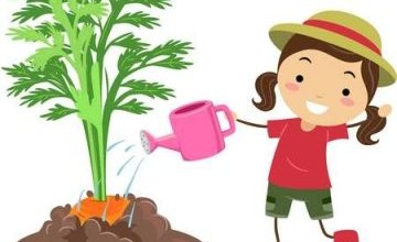 Przynosimy sadzonki warzyw i kwiatów