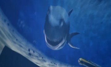 Kino sferyczne - Oceanarium