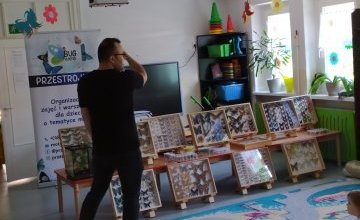 Warsztaty o tematyce motyli