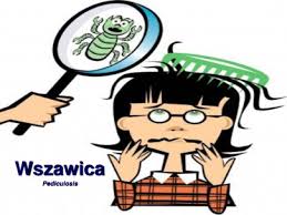 Wszawica - miej to z głowy