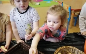Dziewczynka sadzi pietruszkę
