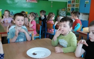 Dzieci jedzą czekoladę