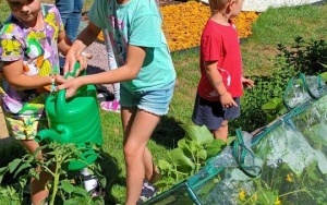 Dzieci dbają o ogródek