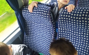 Warsztaty zielarskie (20)