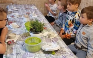 Warsztaty zielarskie (5)