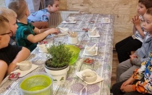 Warsztaty zielarskie (11)