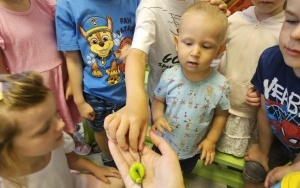 Lekcja przyrody (6)
