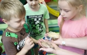 Lekcja przyrody (8)