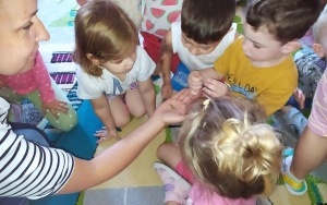 Lekcja przyrody (13)