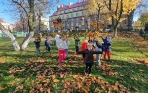 Grupa integracyjna (11)