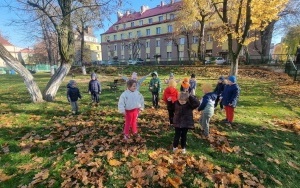 Grupa integracyjna (13)