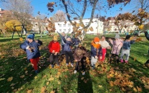 Grupa integracyjna (15)