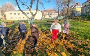 Grupa integracyjna (17)