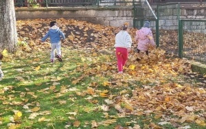 Grupa integracyjna (7)