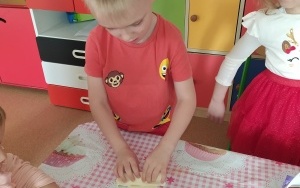 Grupa integracyjna (12)