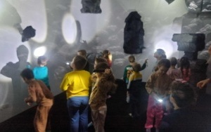 Grupa integracyjna (15)