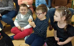 Grupa integracyjna (17)