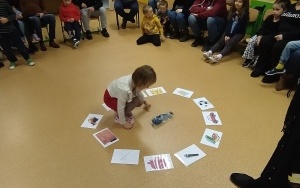 Grupa integracyjna (17)