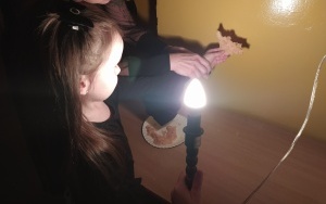 Grupa integracyjna (12)