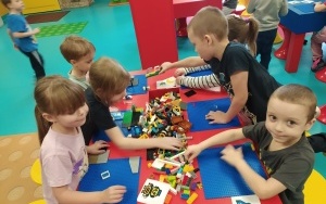 Grupa integracyjna (17)