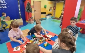 Grupa integracyjna (17)