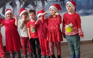 Grupa integracyjna (6)