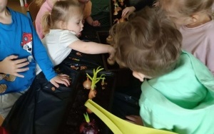 Grupa 3 - 4 latki (1)