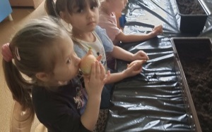 Grupa 3 - 4 latki (14)