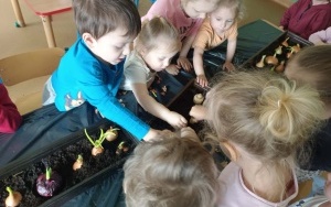 Grupa 3 - 4 latki (2)