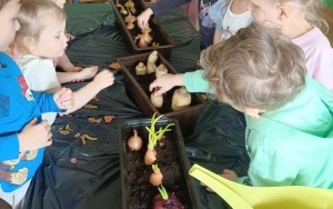 Grupa 3 - 4 latki (3)