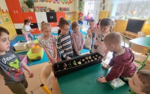 Grupa integracyjna (1)