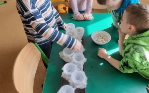 Grupa integracyjna (11)