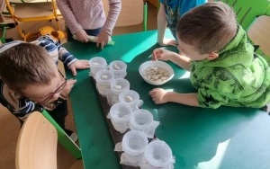 Grupa integracyjna (12)