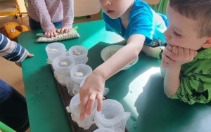 Grupa integracyjna (13)