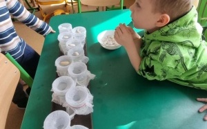 Grupa integracyjna (14)