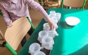 Grupa integracyjna (15)