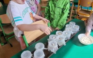 Grupa integracyjna (17)