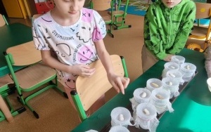 Grupa integracyjna (18)