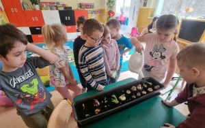 Grupa integracyjna (2)