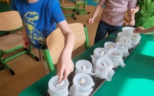 Grupa integracyjna (20)