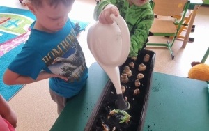 Grupa integracyjna (5)